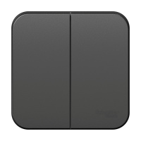 Выключатель BLANCA двухклавишный наружный (схема 5) с изоляционной пластиной 10A 250B антрацит Systeme Electric BLNVA105016