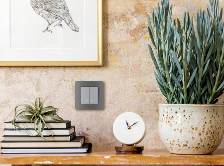 Выключатель двухклавишный с подсветкой/индикацией INSPIRIA 10 AX 250 В~ алюминий Legrand/Daccord 673632