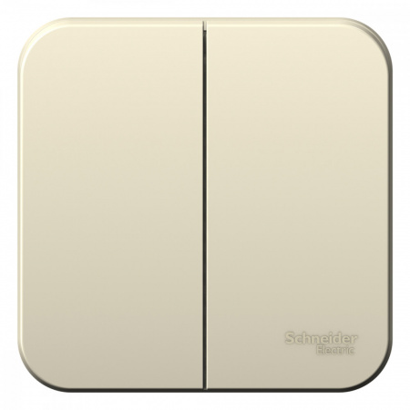 BLNVA065012 Выключатель BLANCA двухклавишный наружный (схема 5) с изоляционной пластиной 6A 250B молочный Systeme Electric 