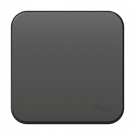 BLNVA106016 BLANCA одноклавишный переключатель наружный (cх.6) изолированный пл, 10A, 250B, антрацит Systeme Electric 