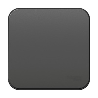 BLANCA одноклавишный переключатель наружный (cх.6) изолированный пл, 10A, 250B, антрацит Systeme Electric BLNVA106016