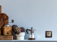 ETIKA Розетка с заземлением со шторками слоновая кость Legrand/Daccord 672322