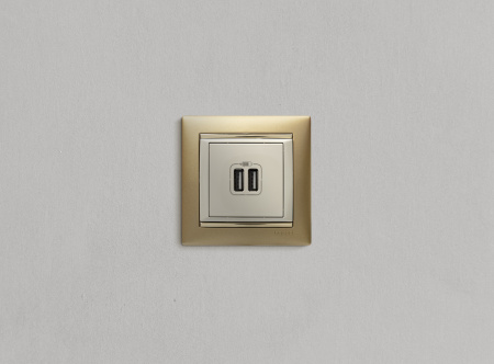 VALENA Розетка двойная USB слоновая кость Legrand/Daccord 774170