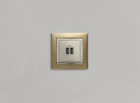 VALENA Розетка двойная USB слоновая кость Legrand/Daccord 774170