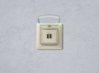 VALENA Розетка двойная USB слоновая кость Legrand/Daccord 774170