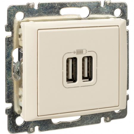 VALENA Розетка двойная USB слоновая кость Legrand/Daccord 774170