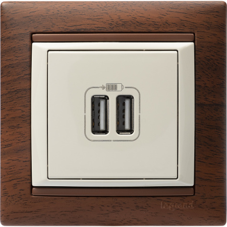 VALENA Розетка двойная USB слоновая кость Legrand/Daccord 774170