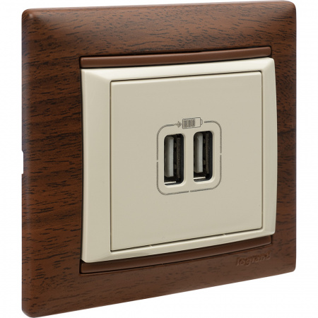 VALENA Розетка двойная USB слоновая кость Legrand/Daccord 774170