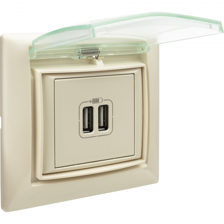 VALENA Розетка двойная USB слоновая кость Legrand/Daccord 774170