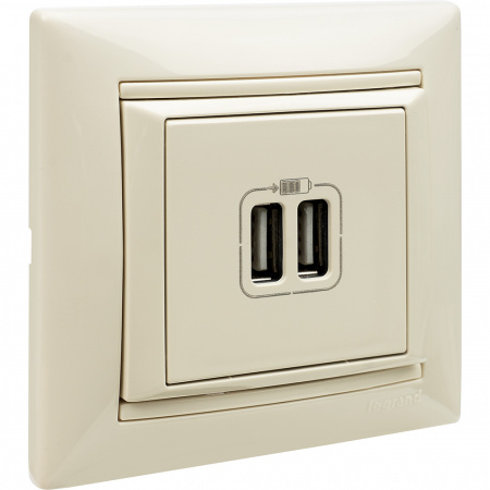 VALENA Розетка двойная USB слоновая кость Legrand/Daccord 774170