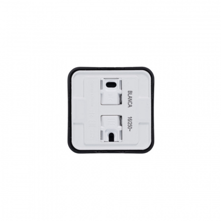 BLANCA Розетка наружная без заземления без шторок с изолирующей пластиной, 16А, 250В, антрацит Systeme Electric BLNRA000116