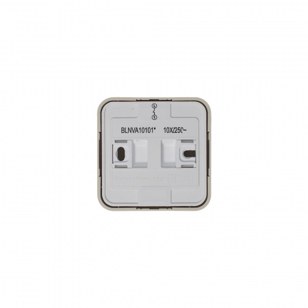 BLNVA101017 BLANCA О/У 1-клавишный ВЫКЛЮЧАТЕЛЬ (cх.1) ИЗОЛ.ПЛ., 10А, 250B, БЕЖЕВЫЙ Systeme Electric 