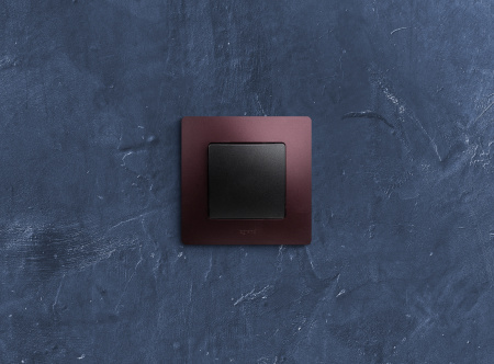 672601 Выключатель одноклавишный, автоматические клеммы 10 AX 250В, антрацит Legrand/Daccord 