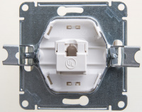 GLOSSA Розетка компьютерная RJ45 категория 5E перламутр в рамку Systeme Electric GSL000681K