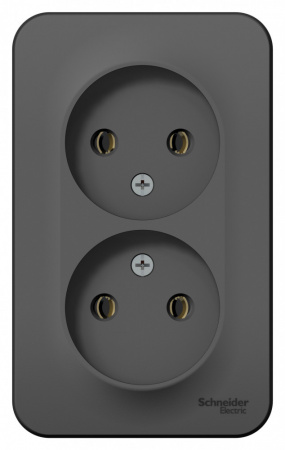 Розетка BLANCA наружная двойная, без заземления, без шторок, с изолирующей пластиной, 16А, 250В, антрацит Systeme Electric BLNRA000216