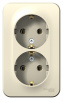 BLANCA розетка наружная двойная с заземлением, без шторок, с изолирующей пластиной, 16А, 250В, молочный Systeme Electric BLNRA010212