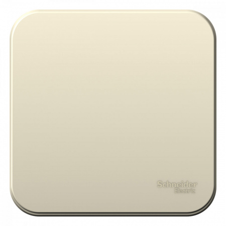 BLNVA101012 Выключатель BLANCA одноклавишный наружный (схема 1) с изоляционной пластиной 10A 250B молочный Systeme Electric 