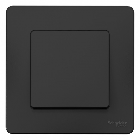 BLANCA скрытой установки одноклавишный выключатель (cх.1), 10A, 250B, антрацит Systeme Electric BLNVS010106