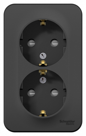 Розетка BLANCA наружная двойная, с заземлением, со шторками, с изолирующей пластиной, 16А, 250В, антрацит Systeme Electric BLNRA011216