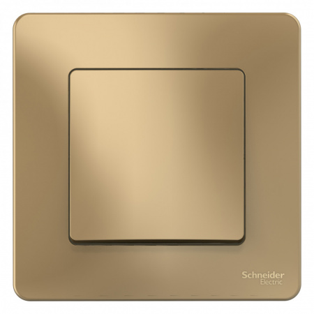 BLANCA скрытой установки одноклавишный выключатель (cх.1), 10A, 250B, титан Systeme Electric BLNVS010104