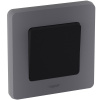 Выключатель одноклавишный INSPIRIA 10 AX 250 В~ антрацит Legrand 673603