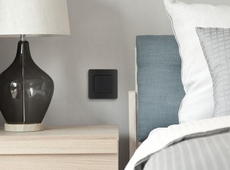 Выключатель одноклавишный INSPIRIA 10 AX 250 В~ антрацит Legrand 673603