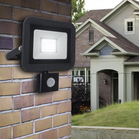 Б0043586 Прожектор светодиодный ДО-30W 6500К 2100Лм IP65 ЭРА 