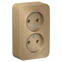 Розетка BLANCA наружная двойная, без заземления, без шторок, с изолирующей пластиной, 16А, 250В, титан Systeme Electric BLNRA000214