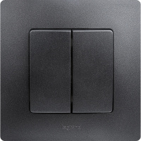 ETIKA Выключатель двухклавишный автоматические клеммы 10 AX 250 В антрацит Legrand 672602