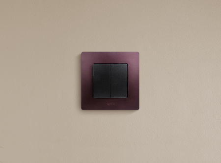 ETIKA Выключатель двухклавишный автоматические клеммы 10 AX 250 В антрацит Legrand 672602