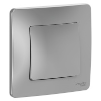 BLANCA скрытой установки одноклавишный выключатель (cх.1), 10A, 250B, алюминий Systeme Electric BLNVS010103