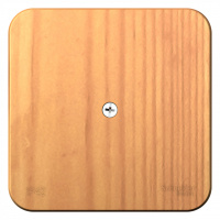 BLANCA  коробка распределительная, ясень Systeme Electric BLNRK000015