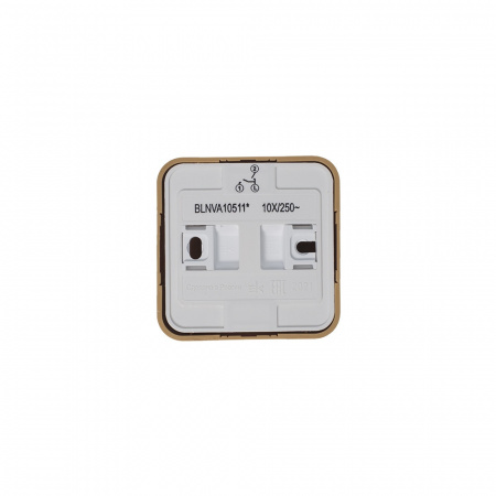 Выключатель BLANCA двухклавишный наружный (схема 5) с подсветкой и изоляционной пластиной 10а 250b ясень Systeme Electric BLNVA105115