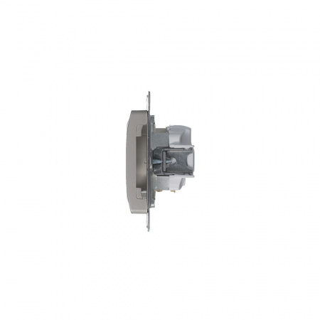 GLOSSA розетка с заземлением платина Systeme Electric GSL001243