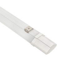 Светильник светодиодный пылевлагозащищенный ДСП-1004 36Вт 6500К IP65 1200мм PROxima EKF TPL-1004-36-6500