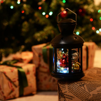 Фонарь со светодиодной гирляндой внутри на батарейке (в комплект не входит) 10 светодиодов RGB свет Режим мигания черный корпус 12х20 см ULD-L1220-010/DTB/RGB BLACK Uniel UL-00002309