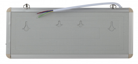 Б0044387 Светильник аварийный светодиодный 1.5ч 3Вт БЕЗ ТЕКСТА SSA-101-0-20 ЭРА 