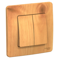 BLANCA скрытой установки двухклавишный выключатель (cх.5), 10A, 250B, ясень Systeme Electric BLNVS010505