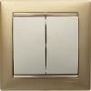VALENA Выключатель двухклавишный в рамку слоновая кость Legrand 774305