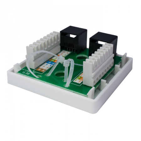 10-0310 Компьютерная розетка 8P8C (RJ-45), UTP, Cat.6, 2 порта SUPRLAN 