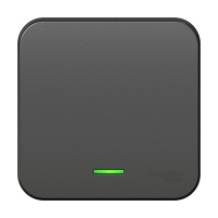 Выключатель одноклавишный наружный BLАNCА (cх.1) с подсветкой, с изолирующей пластиной, 10А, 250В, антрацит Systeme Electric BLNVA101116