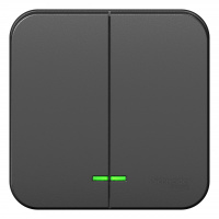 Выключатель BLANCA двухклавишный наружный (схема 5) с подсветкой и изоляционной пластиной 10а 250b антрацит Systeme Electric BLNVA105116