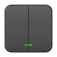 Выключатель BLANCA двухклавишный наружный (схема 5) с подсветкой и изоляционной пластиной 10а 250b антрацит Systeme Electric BLNVA105116