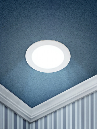 Б0019833 Светильник светодиодный круглый LED 12W 220V 6500K LED 1-12-6K ЭРА 