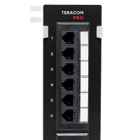 Патч-панель настенная TERACOM PRO Cat.5E неэкранированная UTP 12 портов RJ-45 Dual IDC EKF TRP-WPP-5EUTP-12