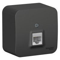 Розетка BLANCA наружная компьютерная RJ45, кат.5e, с изолирующей пластиной, антрацит Systeme Electric BLNIA045006