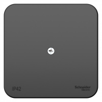 BLANCA  коробка распределительная, антрацит Systeme Electric BLNRK000016