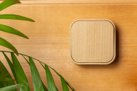 Quteo Переключатель одноклавишный наружный дерево 10А Legrand 782264