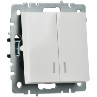 BRITE Выключатель двухклавишный с индикацией 10А ВС10-2-1-БрБ белый IEK BR-V20-1-10-K01