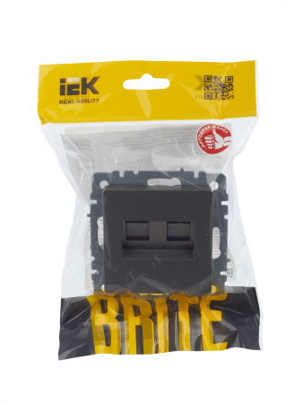 BRITE Розетка компьютерная двойная RJ45 кат.5E РК10-2-БрС сталь IEK BR-K20-1-K46